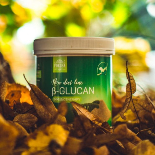 POKUSA Raw Diet BETA-GLUCAN Naturalny preparat zwiększający odporność dla psów i kotów .jpg