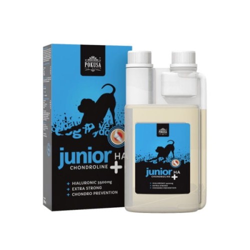 POKUSA ChondroLine Junior + HA Preparat w płynie wspomagający stawy u szczeniąt - 500 ml.jpg