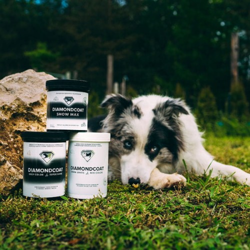 POKUSA DiamondCoat DEEPCOLOR &amp;SUPERSHINE Preparat wspomagający poprawę kondycji sierści i skóry u psów czarnych i ciemnych.jpg