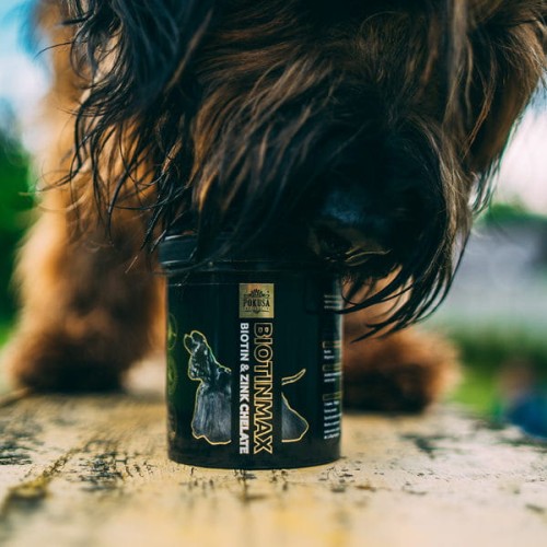 POKUSA DiamondCoat Biotin Max Preparat na kompleksową regenerację sierści u psów.jpg