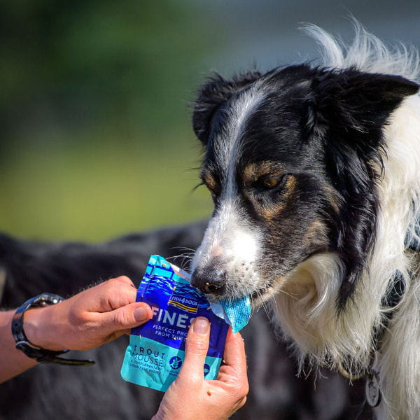 Fish4Dogs FINEST TROUT MOUSSE Karma mokra z pstrąga dla szczeniąt i psów dorosłych psów.jpg