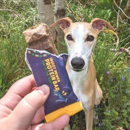 YORA POWER PROTEIN BAR WYSOKOENERGETYCZNY BATON Z INSEKTAMI DLA PSÓW - 1.jpg