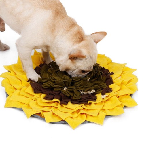 DOGLEMI SUNFLOWER - mata węchowa dla psa.jpg