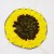 DOGLEMI SUNFLOWER - mata węchowa dla psa - 1.jpg