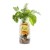 SmoothieDog LAMB Płynna przekąska z jagnięciną dla psa - 250 ml - skład.jpg