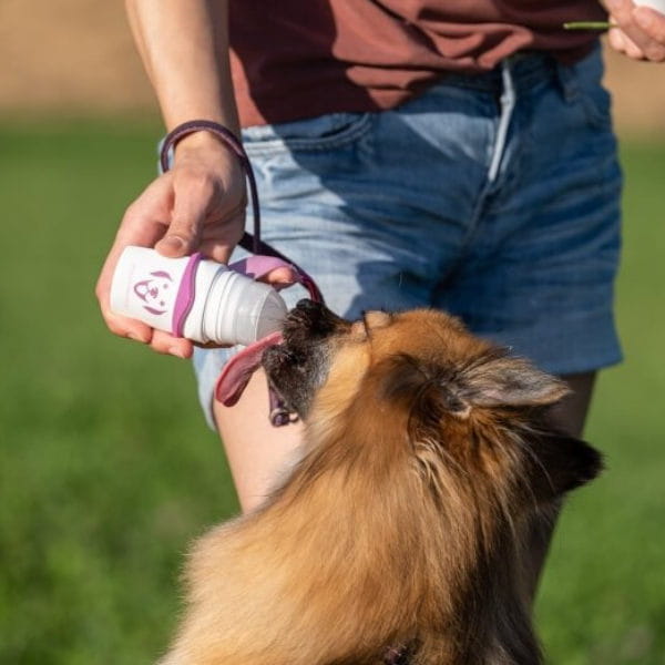 Doggy Roller SmoothieDog z karabińczykiem - 2.jpg