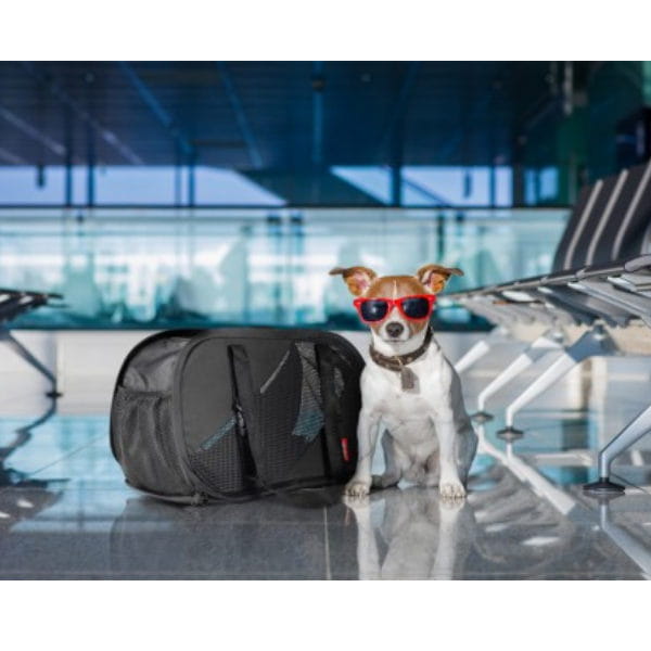 IBIYAYA SKŁADANY TRANSPORTER FLYING PAL -. czarno-czerwony - na urlopie.jpg