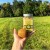 KIWI WALKER KIWI - liofilizowane przysmaki dla psów i kotów - kiwi.jpg