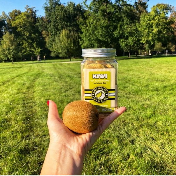 KIWI WALKER KIWI - liofilizowane przysmaki dla psów i kotów - kiwi.jpg