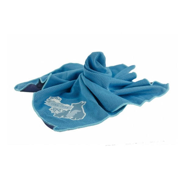 CoolPets Bandama chłodząca COOL DOG 2.jpg