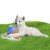 CoolPets Lodowy PINGWIN dla psa.jpg