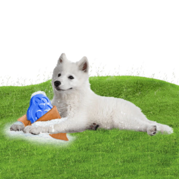 CoolPets Lodowy PINGWIN dla psa.jpg