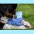 CoolPets Lodowy PINGWIN dla pieska.jpg
