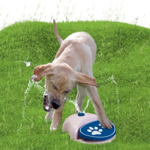 COOLPETS SPLASH Fontanna dla psa.jpg