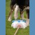 CoolPets Fontanna dla psa SPLASH.jpg