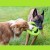 Kiwi Walker Let's Play! FRISBEE Maxi zielone 2.jpg
