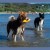 Kiwi Walker Let's Play ZEPPELIN Maxi aport 2.jpg