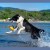 Kiwi Walker Let's Play ZEPPELIN Maxi aport 4.jpg
