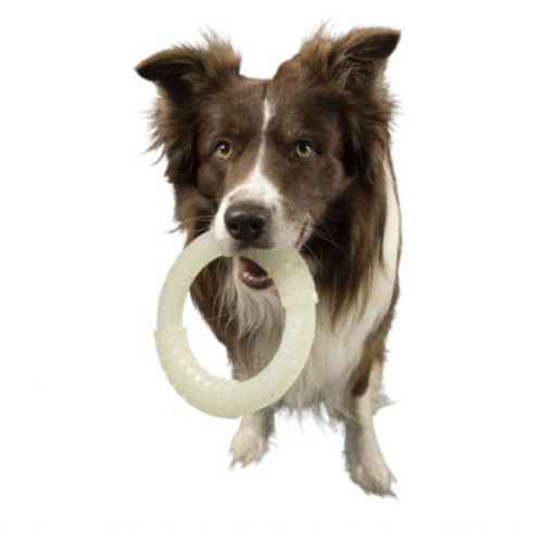Kiwi Walker Let's Play GLOW RING Maxi - pies.jpg