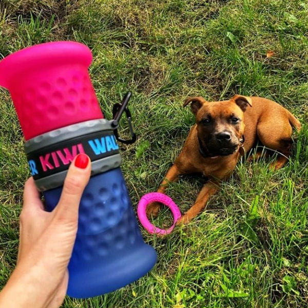 Butelka na wodę i karmę dla psa - KIWI WALKER TRAVEL BOTTLE 2in1 - zielono-pomarańczowy -.jpg