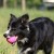 Kiwi Walker Let's Play BALL Maxi - 1.jpg