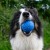 Kiwi Walker Let's Play BALL Maxi.jpg