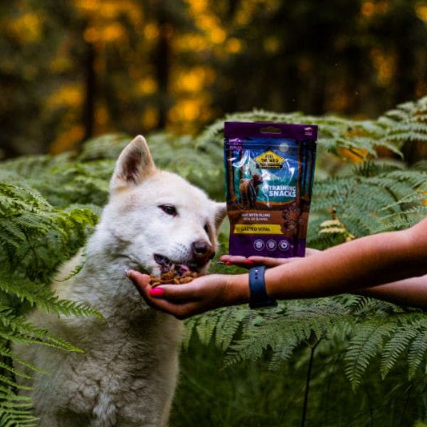 POKUSA FEELD THE WILD TRAINING SNACK S Przysmaki treningowe - 2.jpg