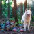 POKUSA FEELD THE WILD TRAINING SNACK S Przysmaki treningowe - 1.jpg