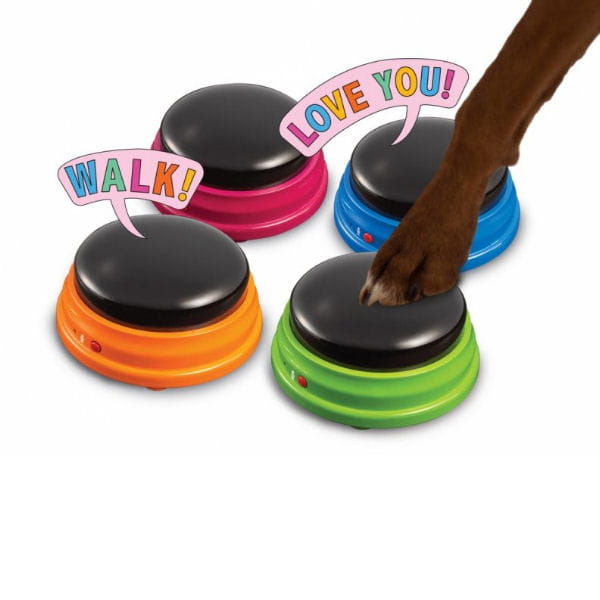 HUNGER FOR WORDS TALKING PET Zestaw startowy.jpg