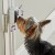 Hunger for Words TALKING PET Doorbell Dzwonek do drzwi - 2.jpg