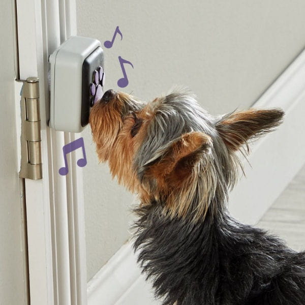 Hunger for Words TALKING PET Doorbell Dzwonek do drzwi - 2.jpg