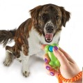 Brightkins Smarty Pooch Training Clicker KLIKER KOŚĆ-2.jpg