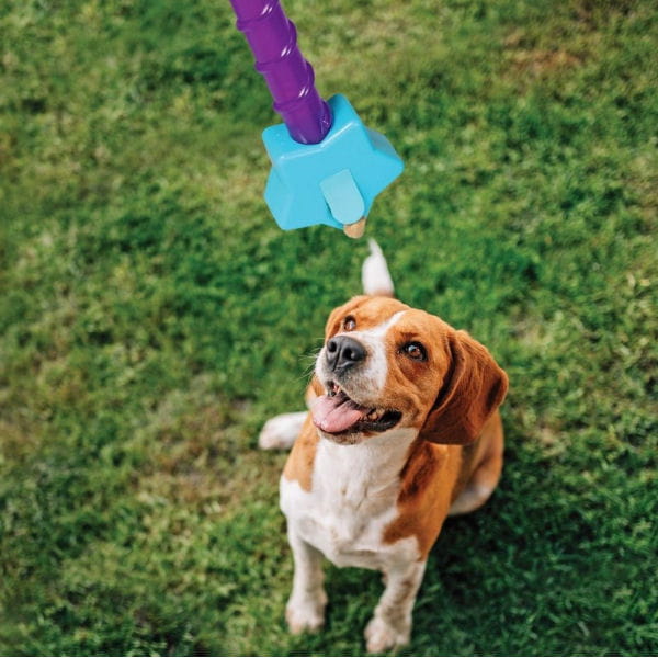 Brightkins Dozownik przysmaków Magic Wand! MAGICZNA RÓŻDŻKA GWIAZDA - 4.jpg