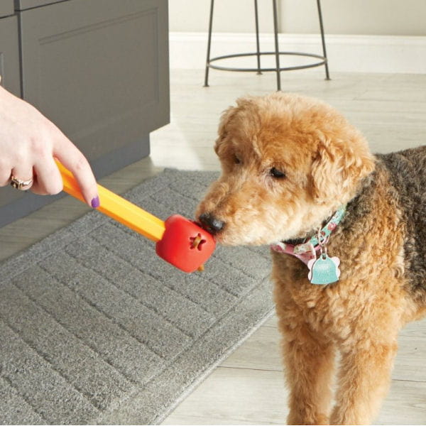 Brightkins Zestaw Szkoleniowy Pooch School! SZKOŁA DLA PSIAKÓW - 4.jpg