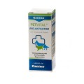 CANINA PHARMA BIOAKTYWATOR PETVITAL- suplement dla psów i kotów - 20 ml.jpg