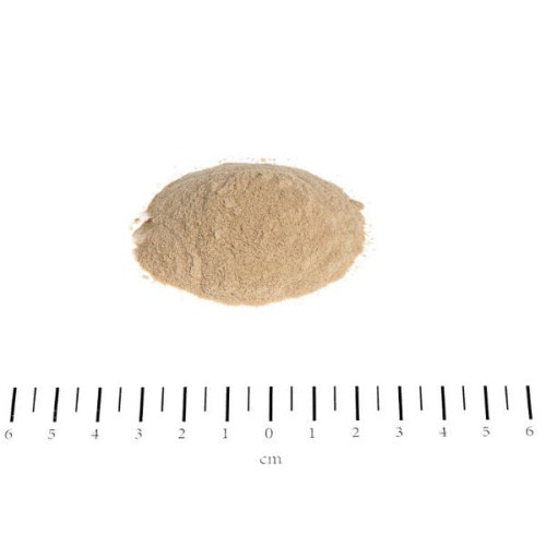 CANINA PHARMA Biotyna Forte w proszku - suplement dla psów - detal.jpg