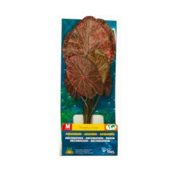 Rośliny akwariowe z materiału średnie - ZOLUX - zestaw nr 3.jpg