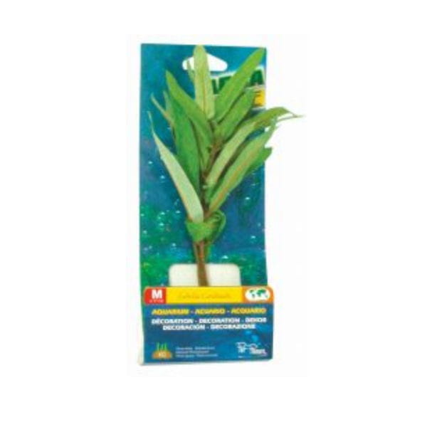 Rośliny akwariowe z materiału średnie - ZOLUX - zestaw nr  4.jpg