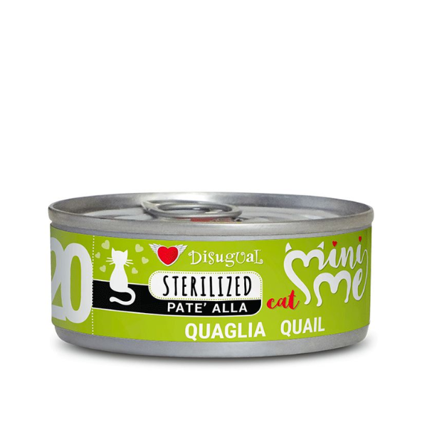 DISUGUAL CAT MINI ME STERILIZED (20).png