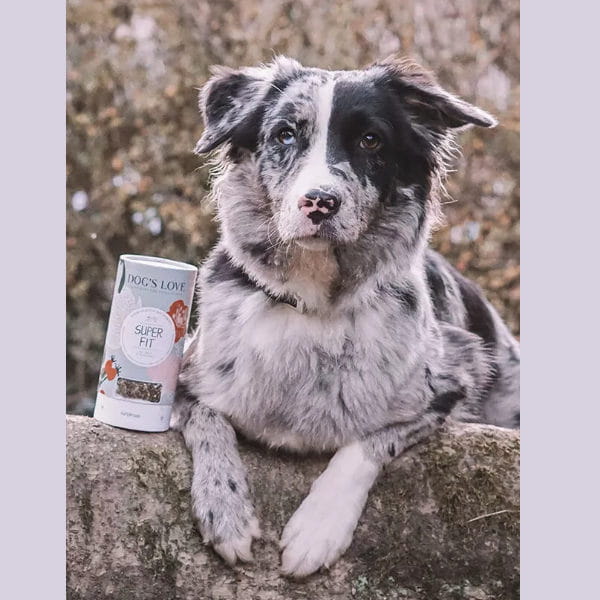 Zioła dla psa wspomagające pracę serca i układ krążenia - miłorząb japoński DOG'S LOVE SUPER FIT - 1.jpg