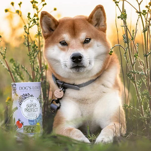 Zioła dla psa na ochronę przed kleszczami - czystek DOG'S LOVE - Super Protect - 1.jpg