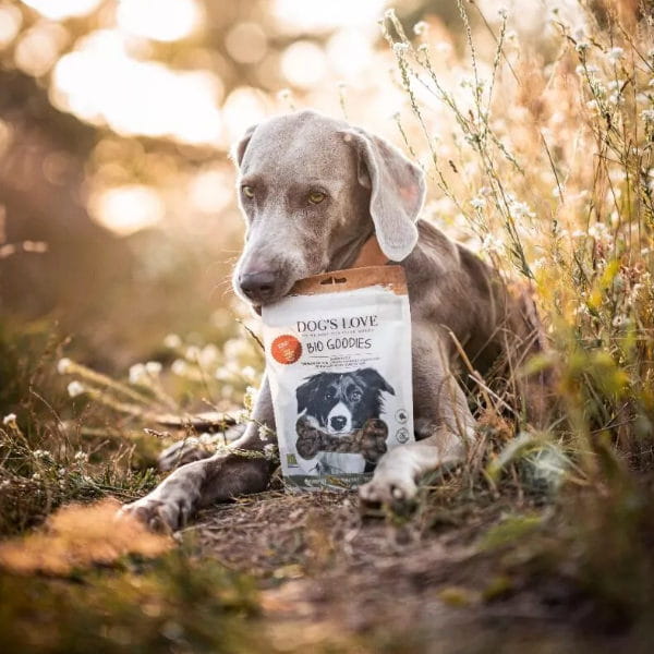 Przysmaki dla psa - DOG'S LOVE BIO Goodies - wołowina.jpg
