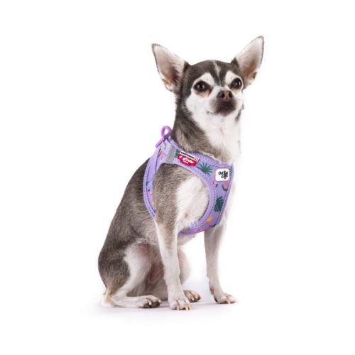 Szelki dla psa CARLI CLASP AIR MESH - LAVENDER FLAMINGO (2).png