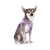 Szelki dla psa CARLI CLASP AIR MESH - LAVENDER FLAMINGO (2).png