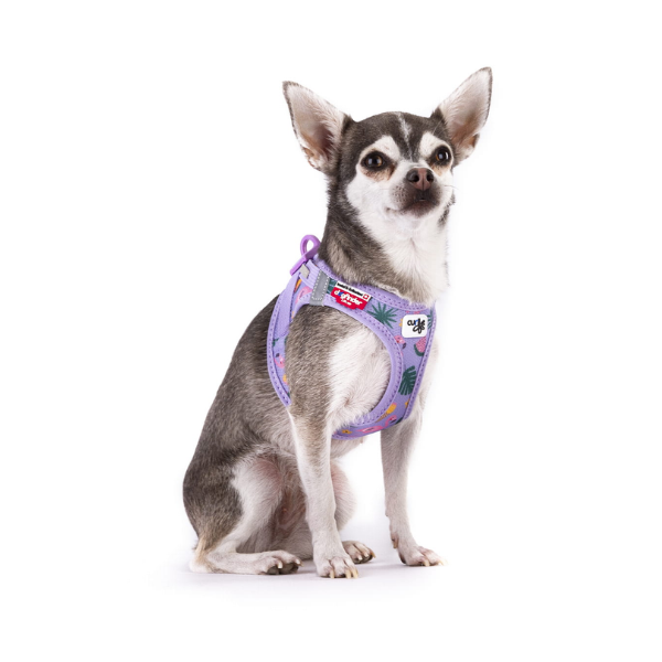 Szelki dla psa CARLI CLASP AIR MESH - LAVENDER FLAMINGO (2).png
