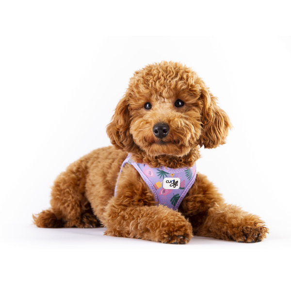 Szelki dla psa CARLI CLASP AIR MESH - LAVENDER FLAMINGO (3).png