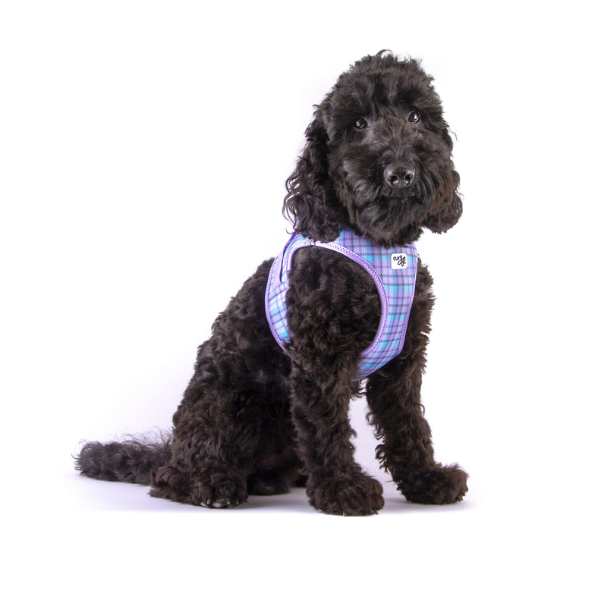 Szelki dla psa CARLI CLASP AIR MESH - LAVENDER CARO  (2).png