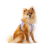Szelki dla psa CARLI CLASP AIR MESH - LAVENDER CARO  (3).png