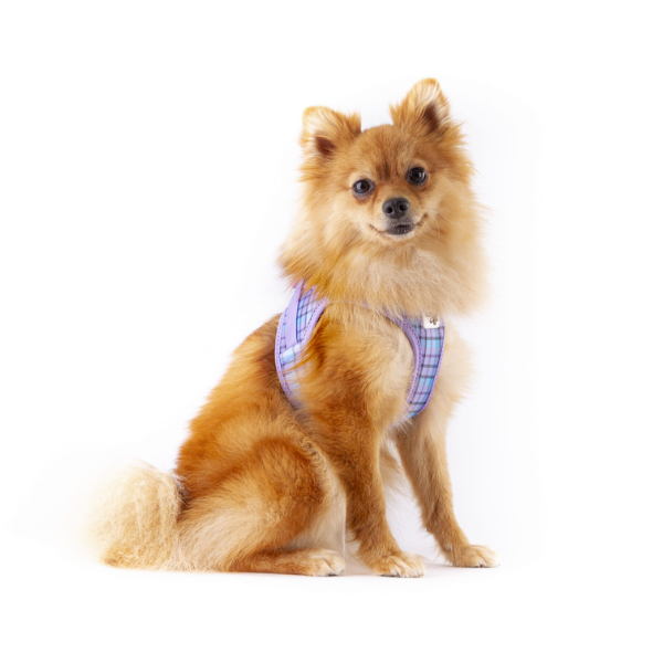 Szelki dla psa CARLI CLASP AIR MESH - LAVENDER CARO  (3).png