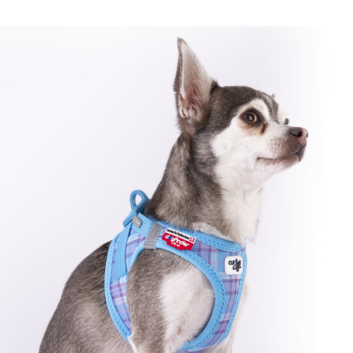 Szelki dla psa CARLI CLASP AIR MESH - AQUA CARO (1).png